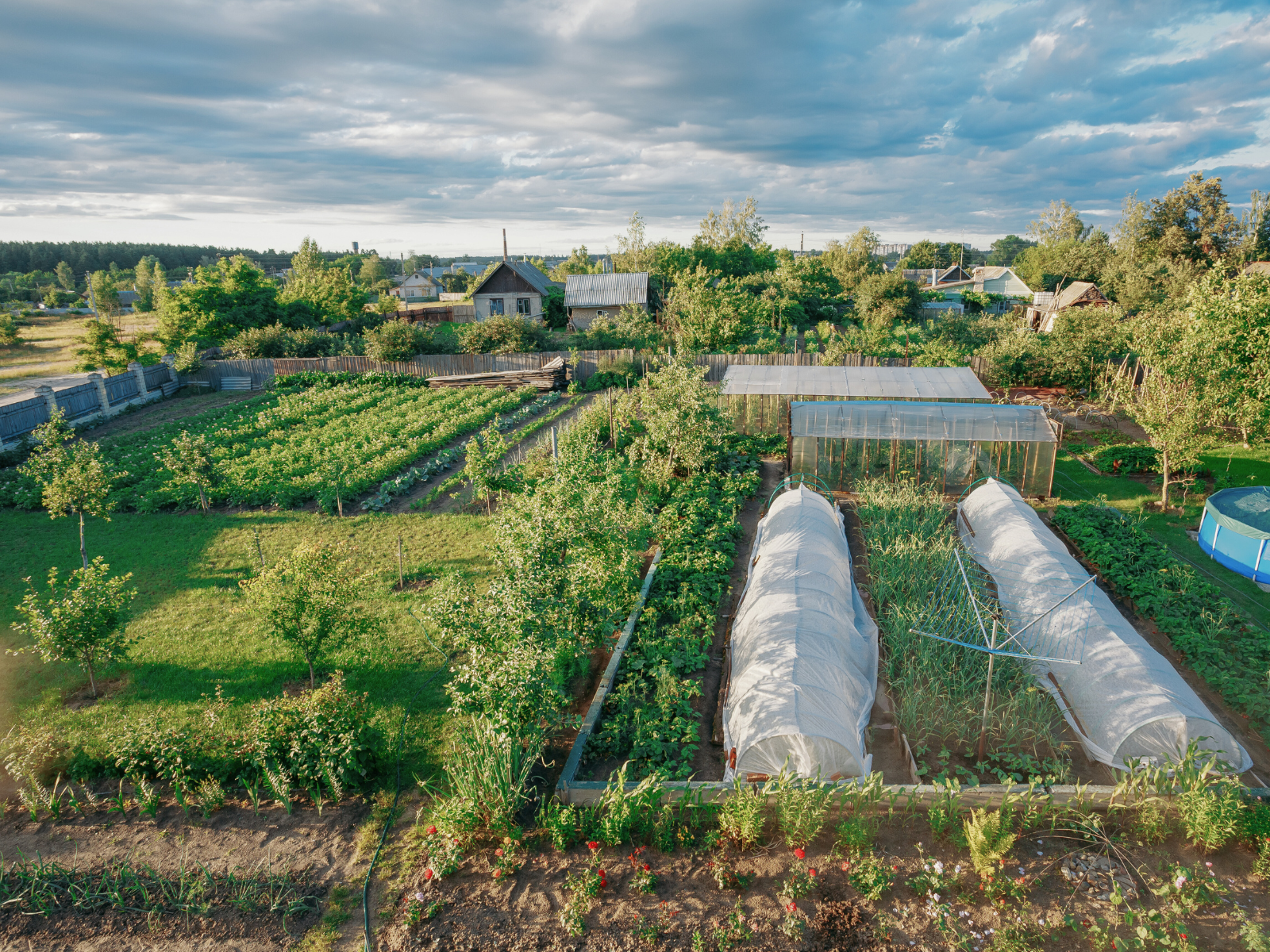 Is your Vegetable Garden Ready for Winter? header image.