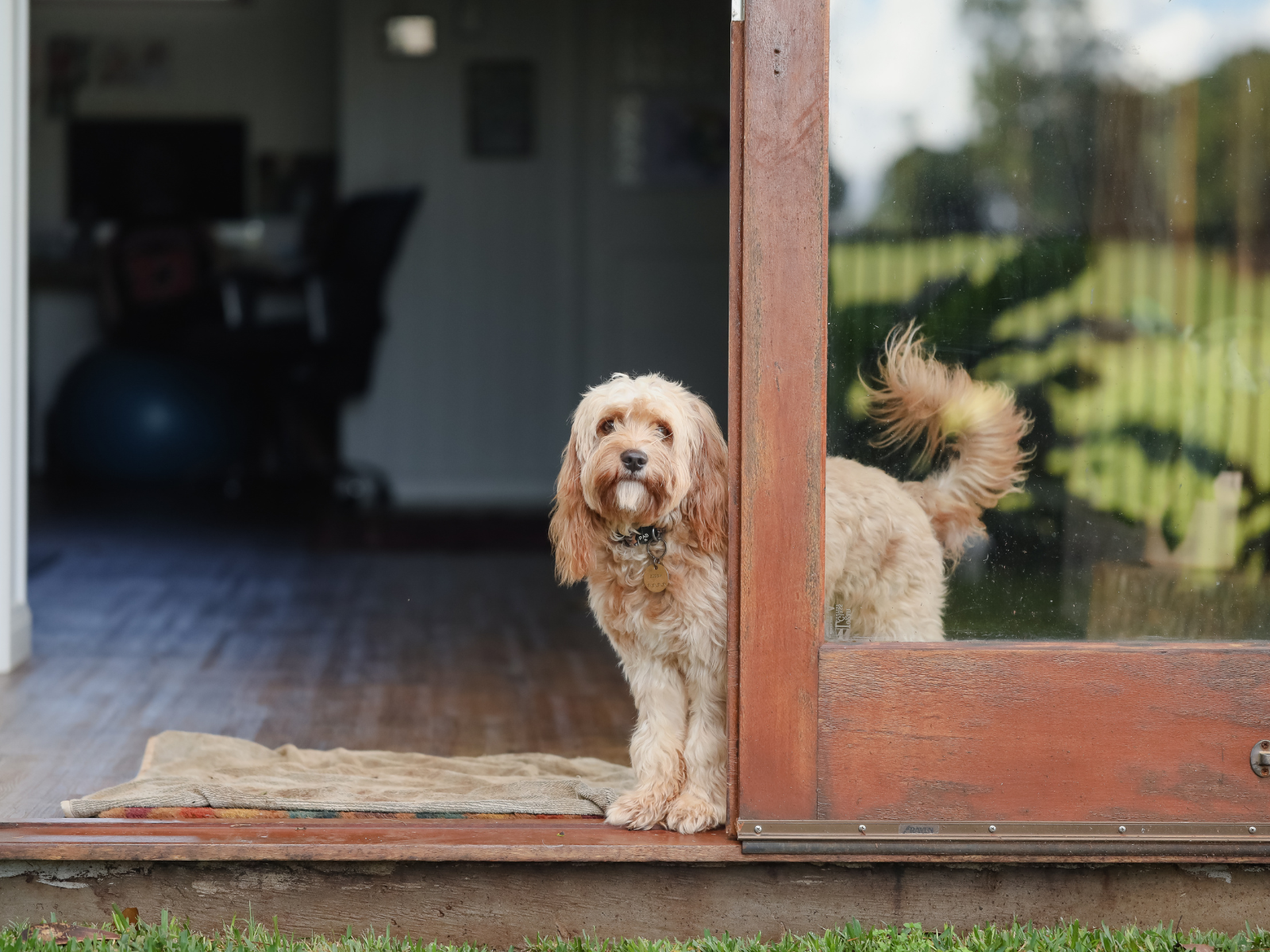 Top Ten Ways to Scare Away Buyers header image.