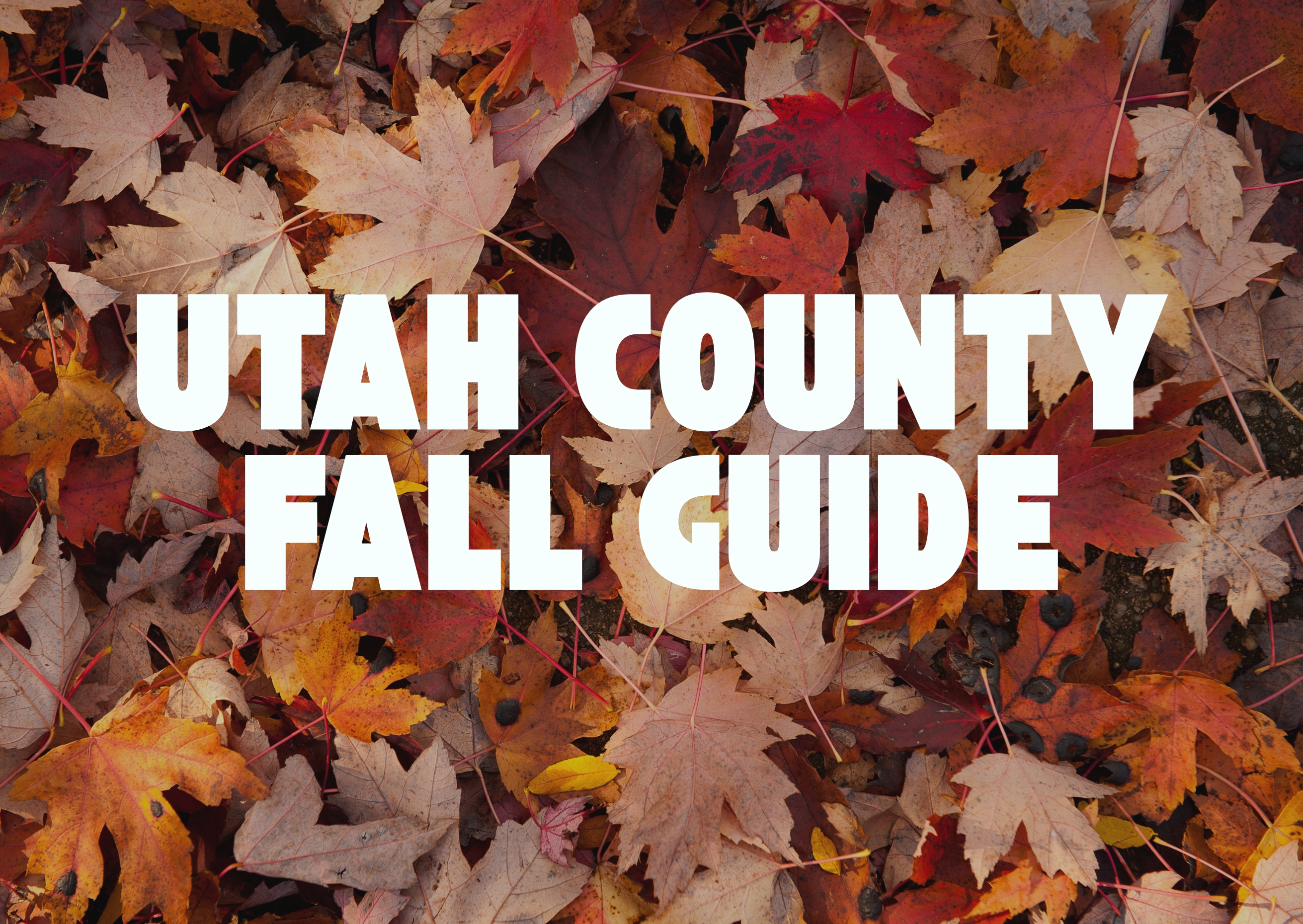 Utah County Fall Events Calendar header image.