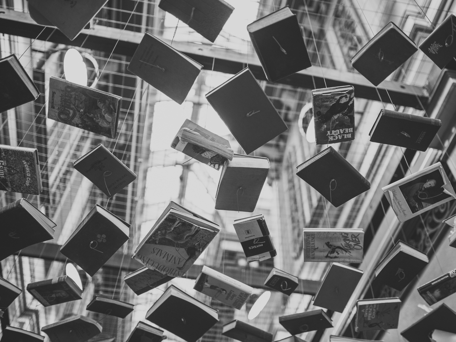 The Brag Book header image.