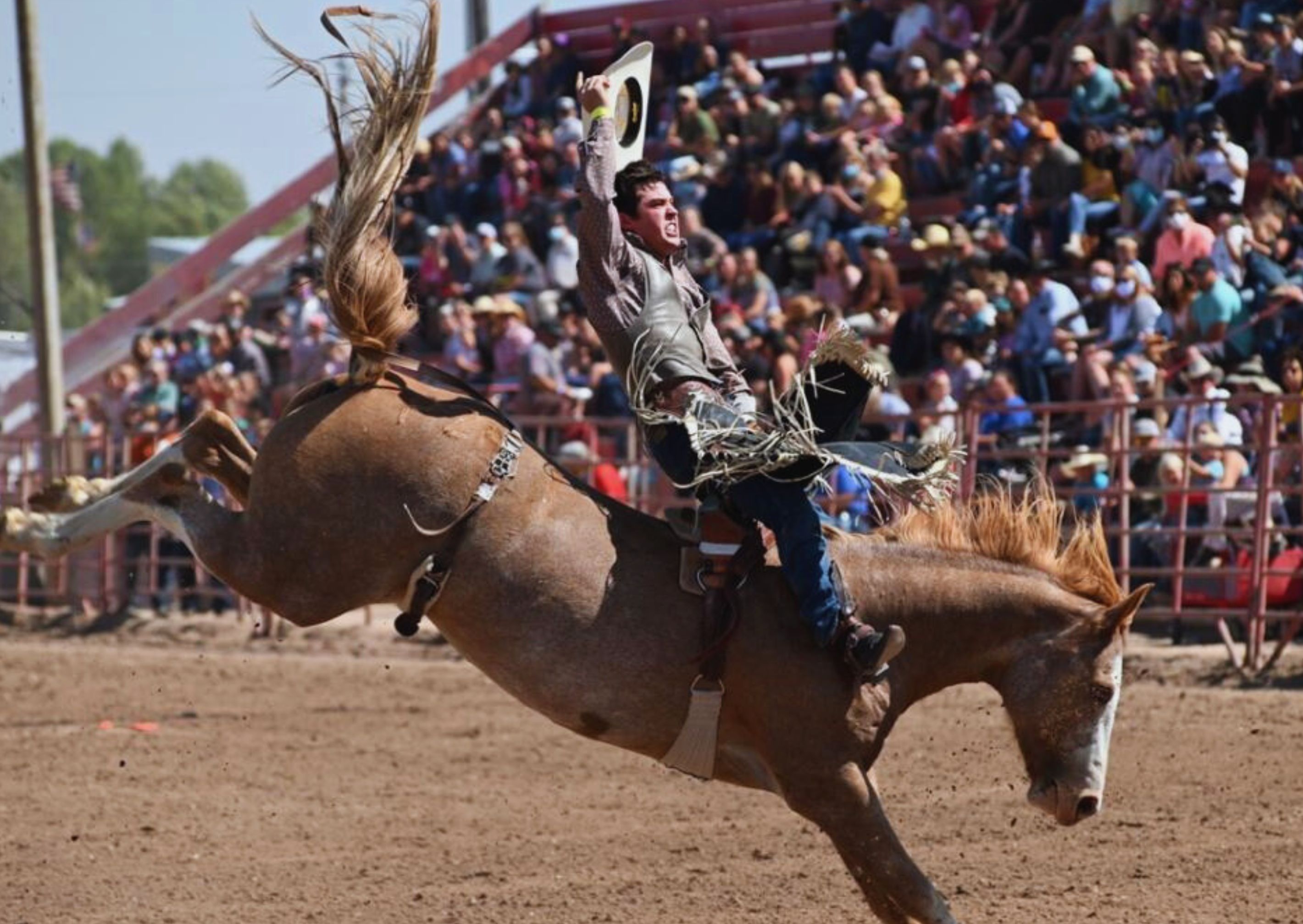 Summer Events in Utah County header image.