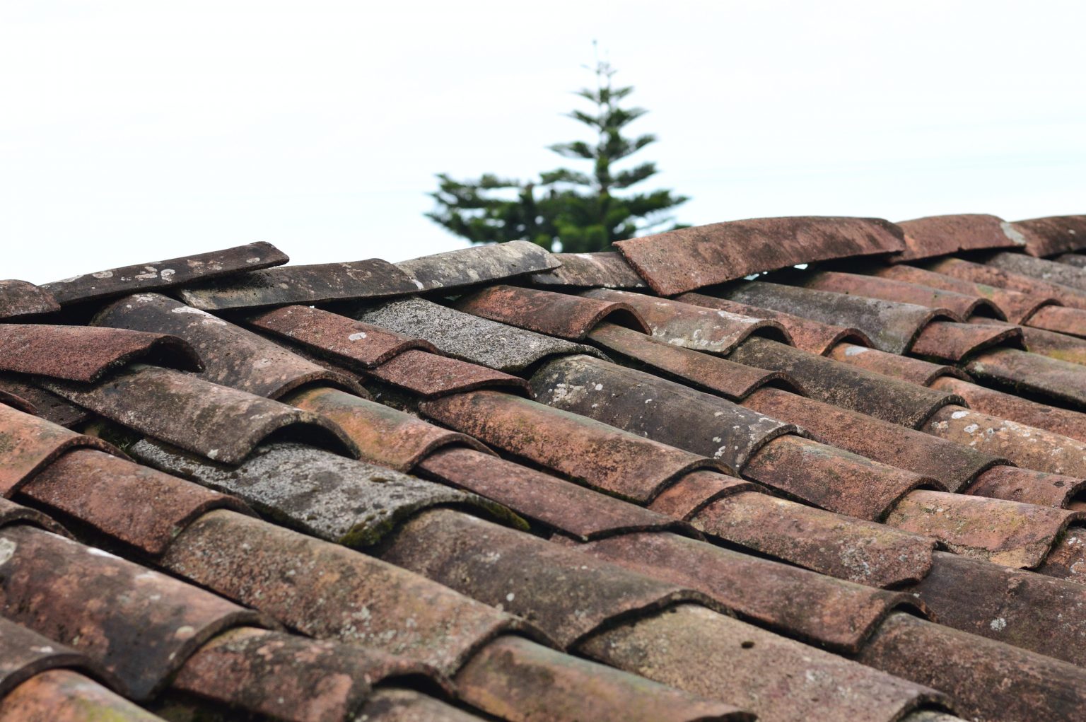 Maintaining Your Roof: Protecting Your Home from the Top Down header image.