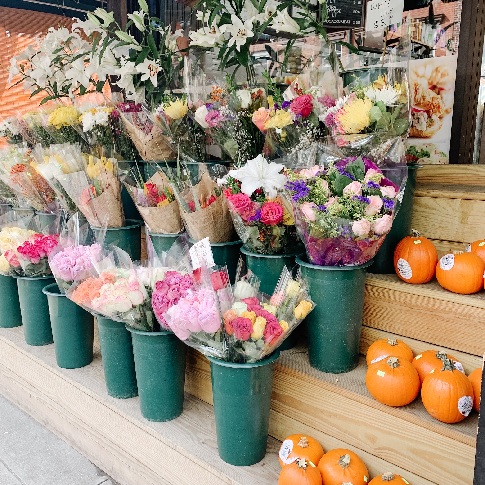 10 Fun Fall Activities for Families In St. Louis, MO That Don't Cost Much Money header image.