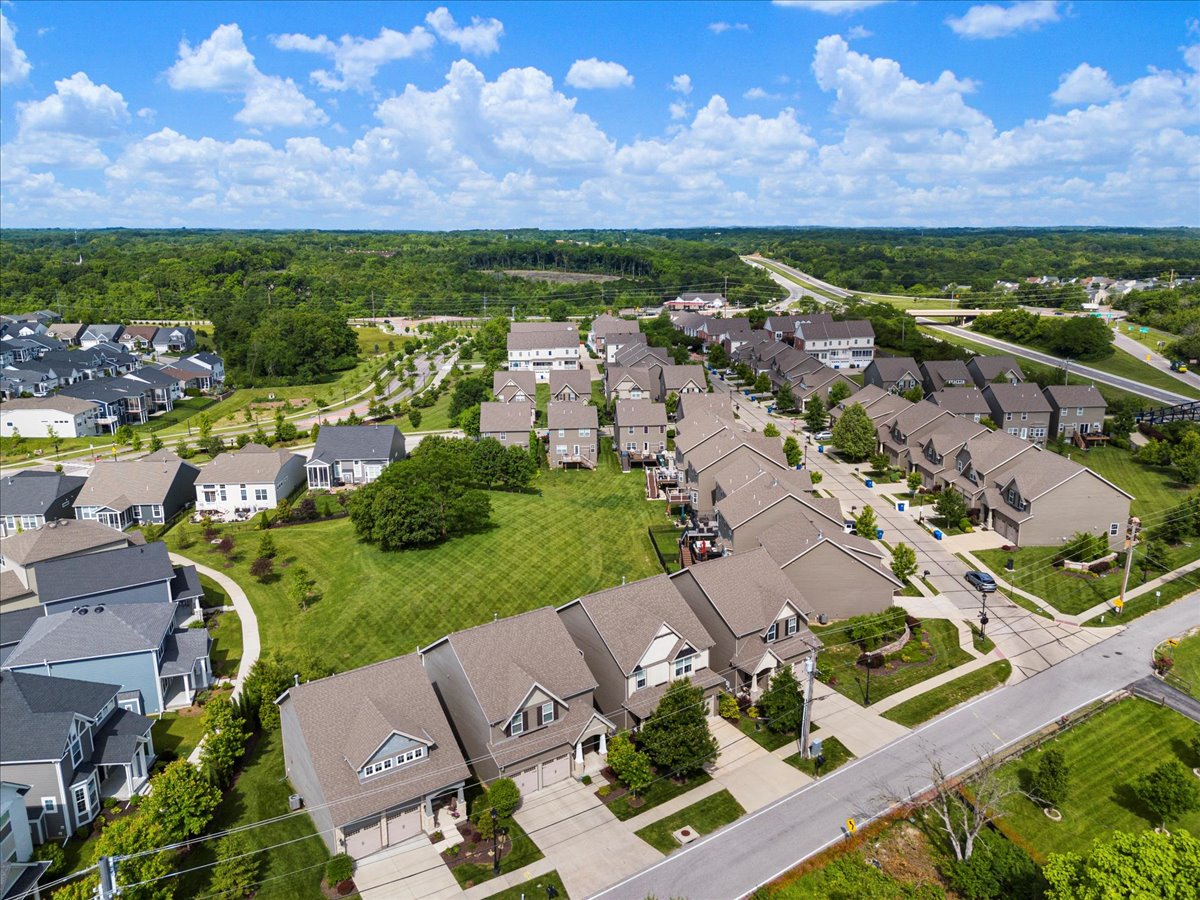 A New Reason to Visit Community Park This Month header image.