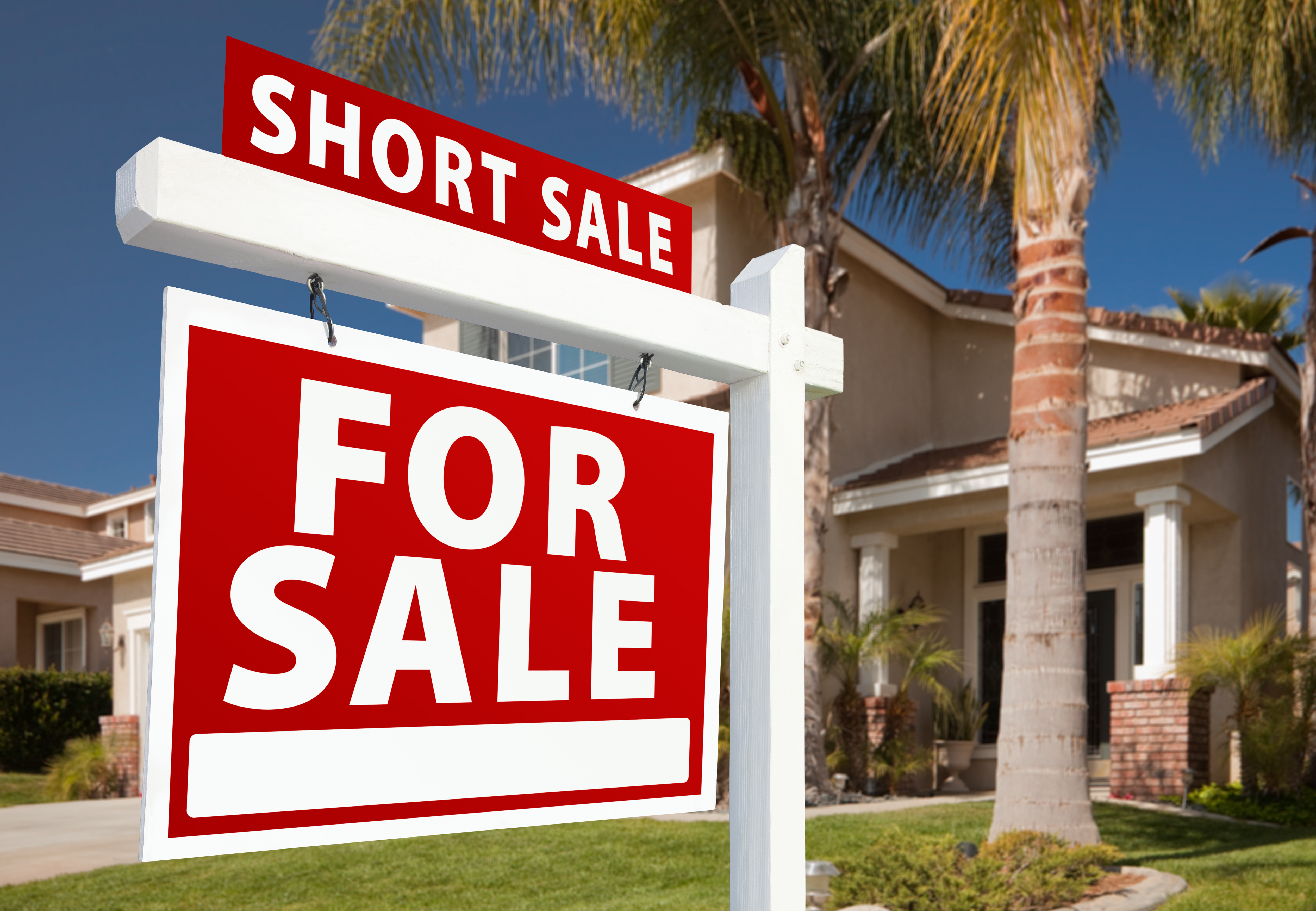 Short Sales header image.