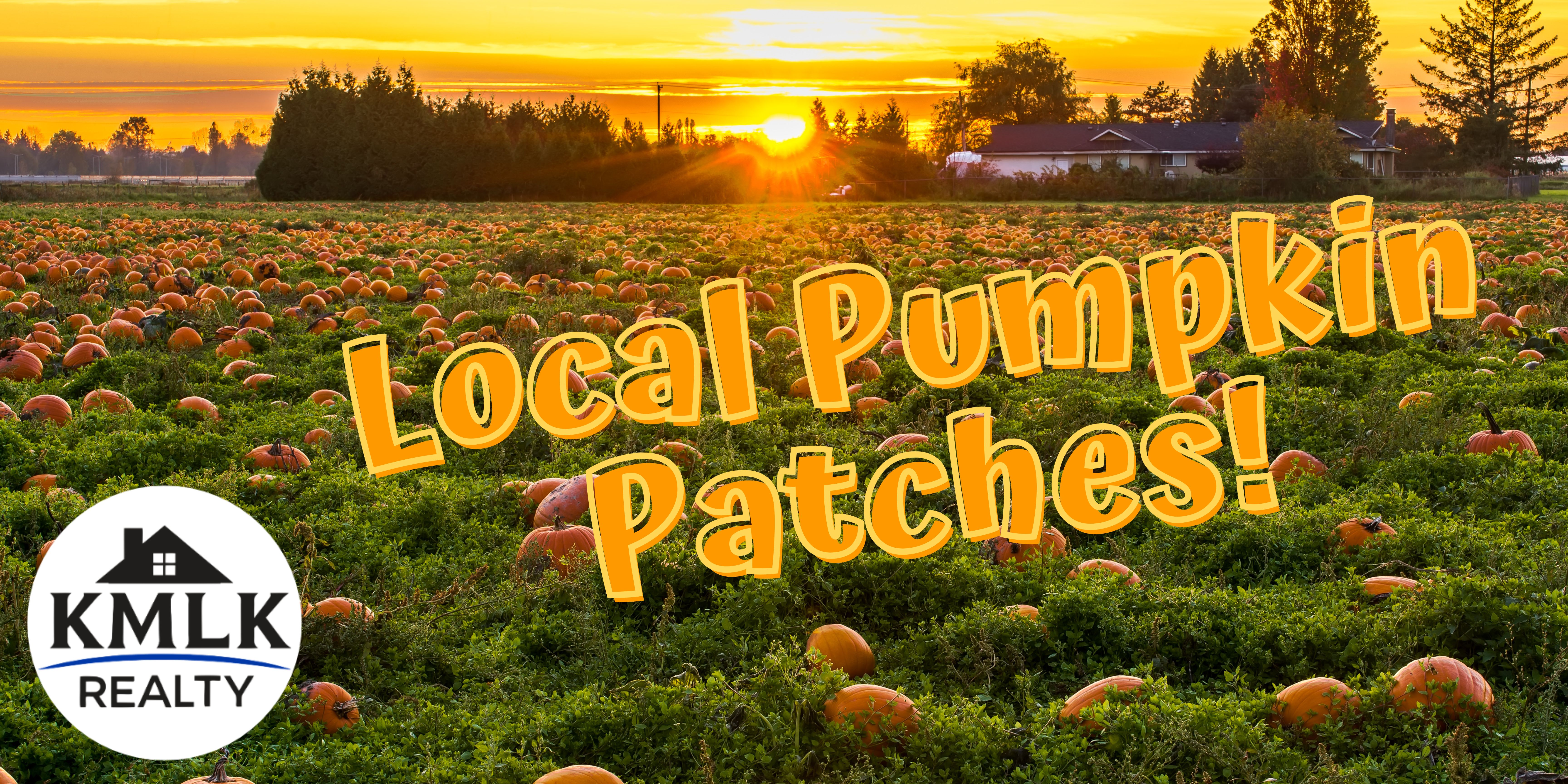 Your Local Pumpkin Patches header image.