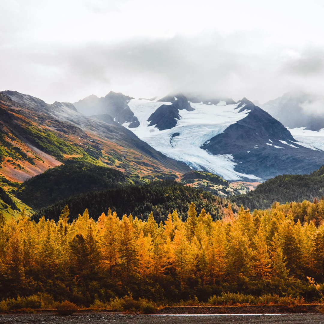 10 Must-See Fall Festivals In & Around SouthCentral Alaska header image.