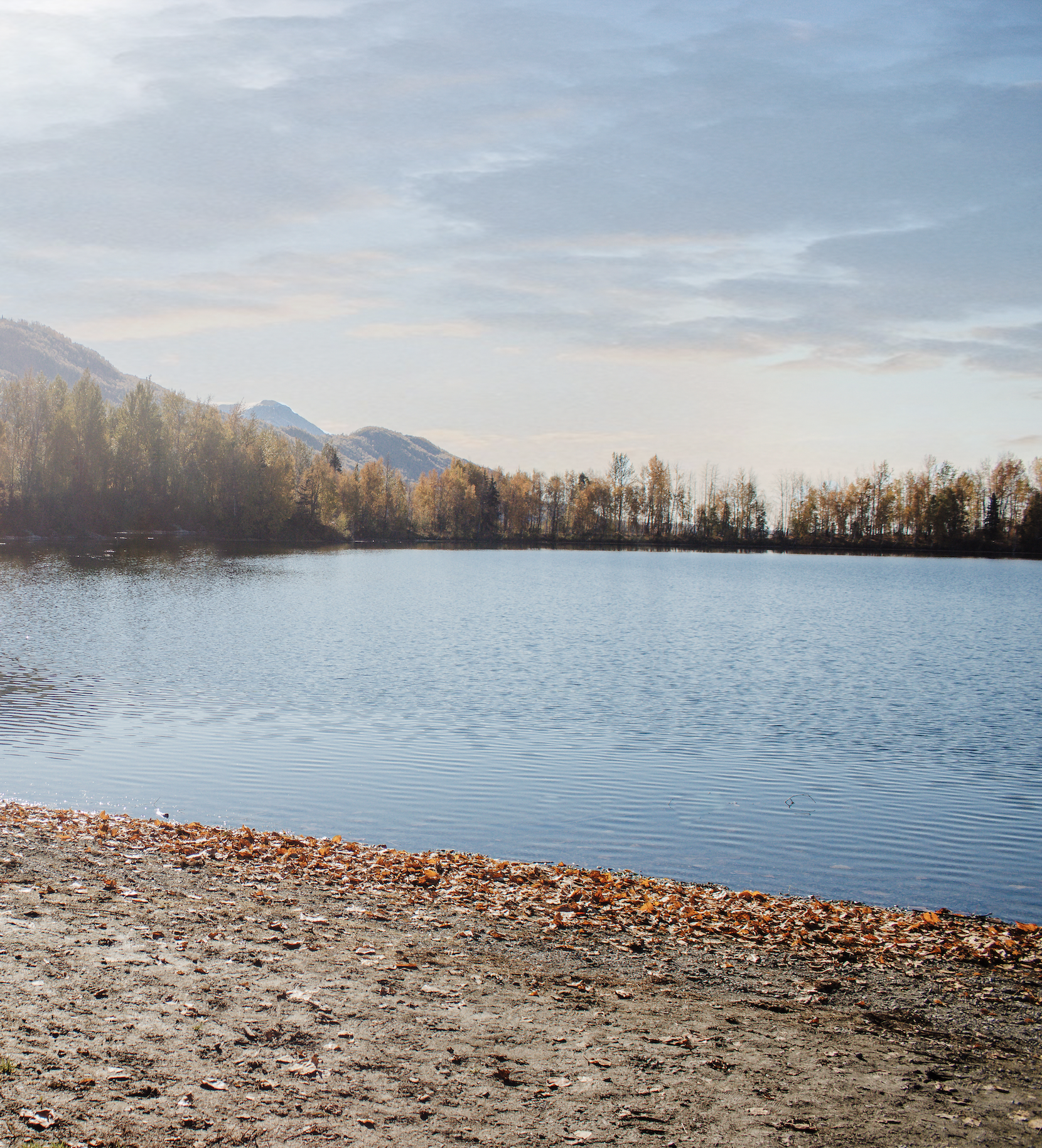 Top 5 Hikes With Kids header image.