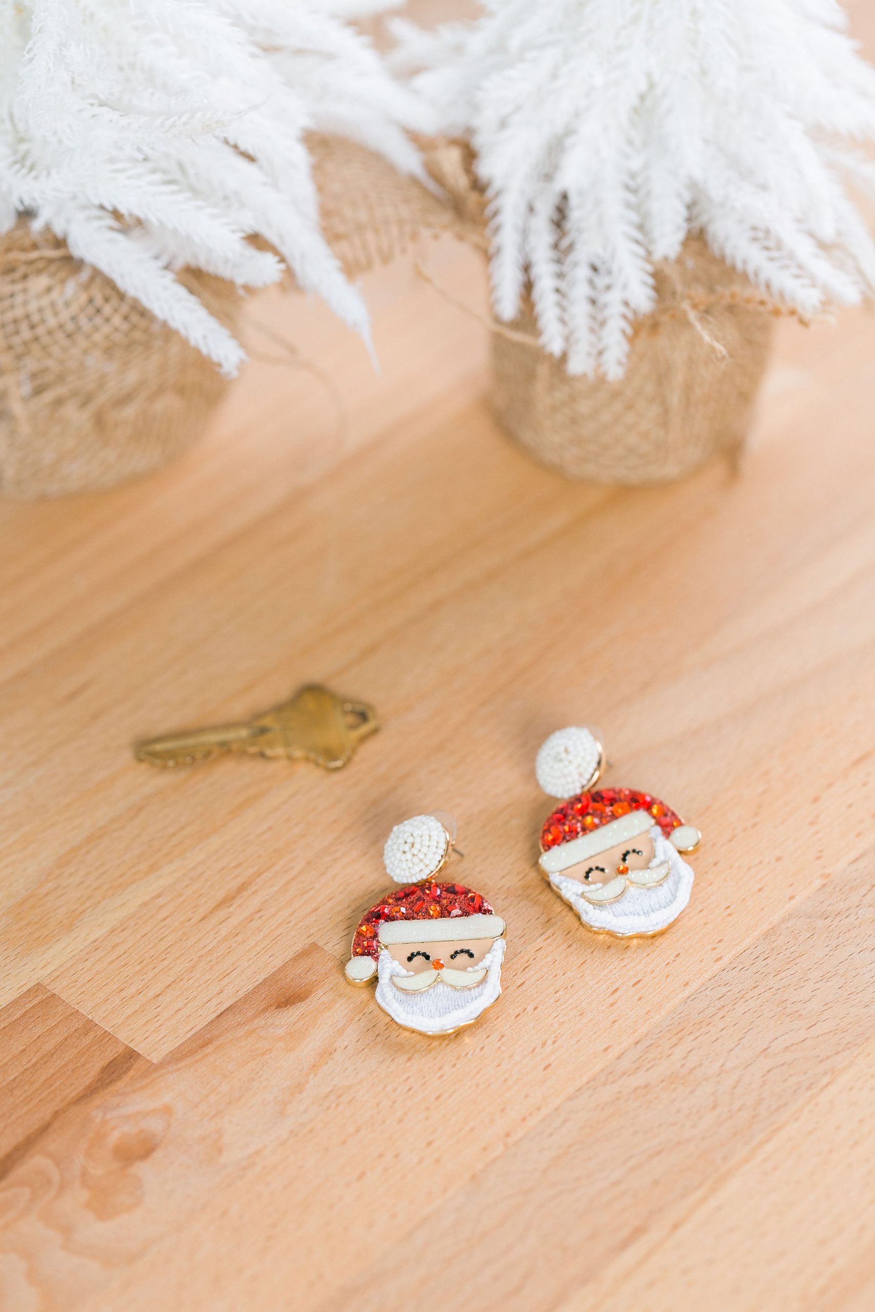 Visit Santa in the North Pole! header image.