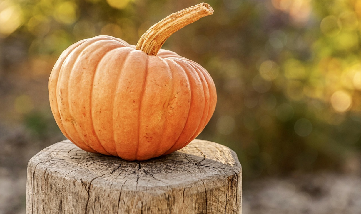 Hauntingly Beautiful: Unveiling the Best Halloween Decorations for Your Spooky Abode header image.