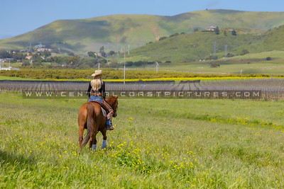 Discover Nipomo, California: Central Coast Living at Its Best header image.
