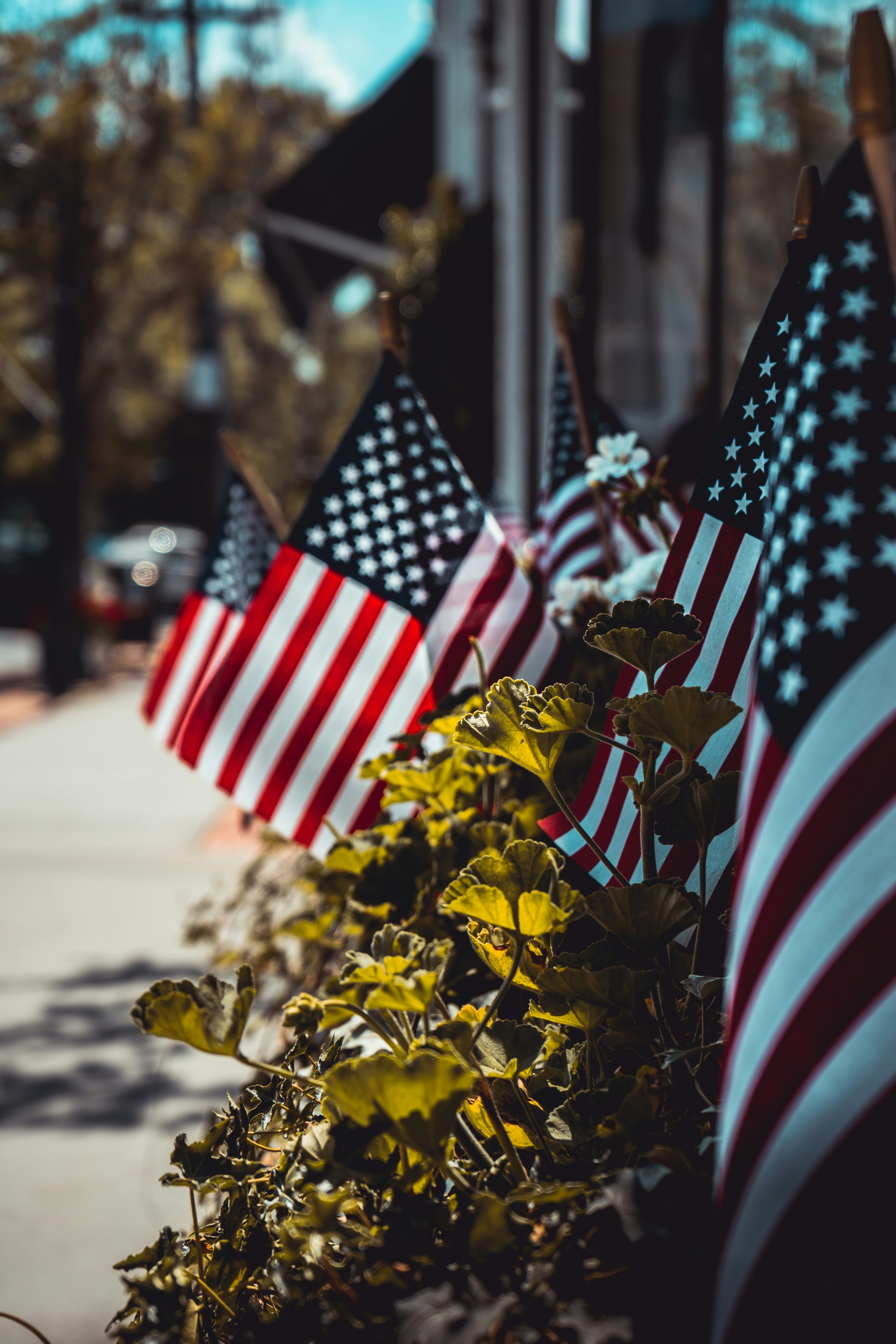 Annual Festivals and Events That Bring Centerville Together header image.