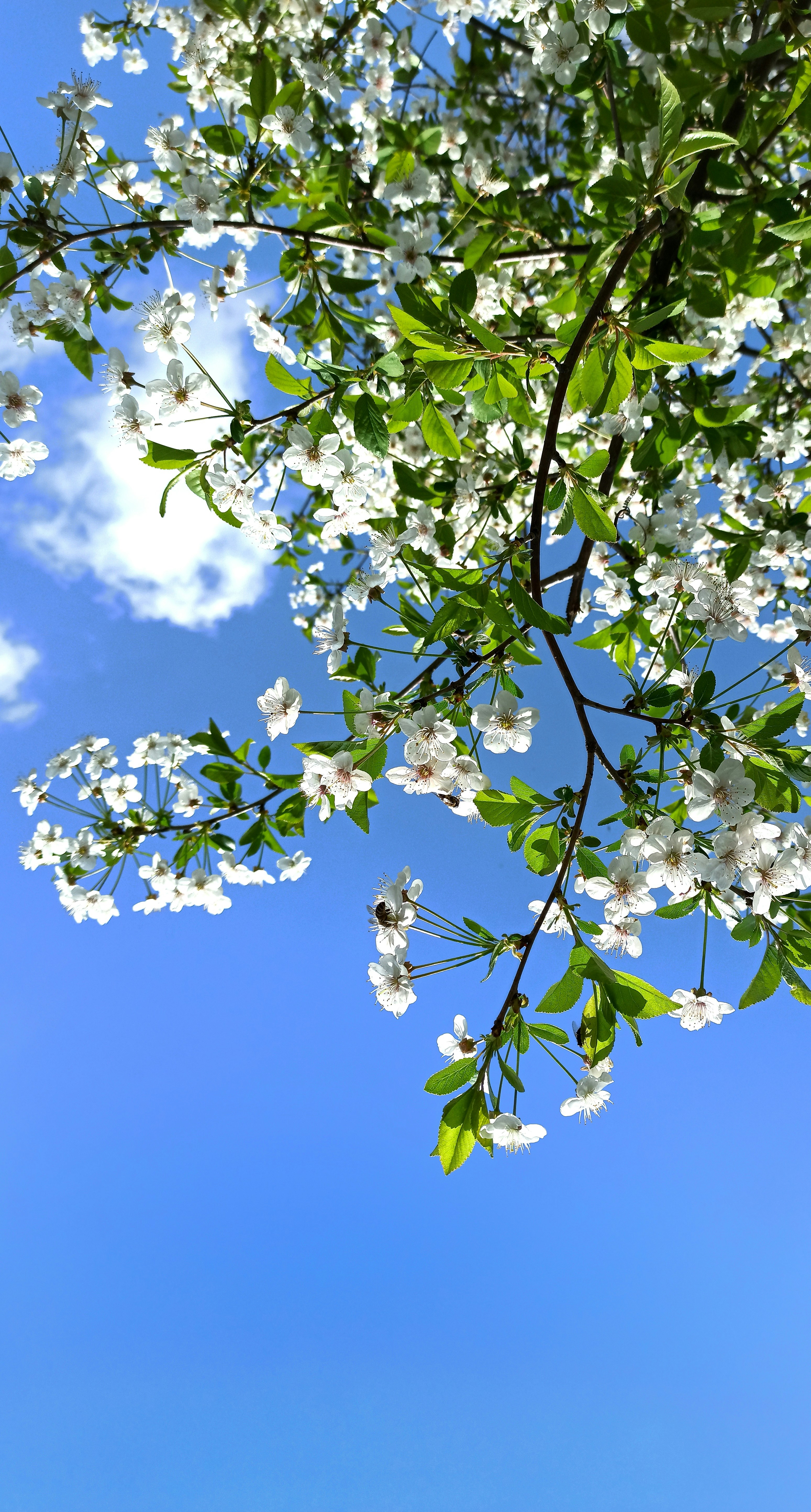 Your Ultimate Spring Home Maintenance Checklist header image.
