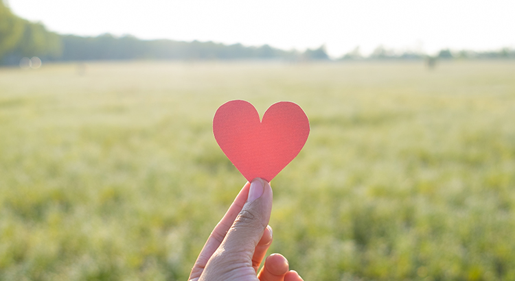 How to Find the Perfect Real Estate Agent header image.