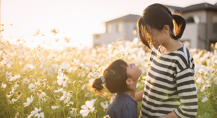 What You Can Expect from the Spring Housing Mark header image.