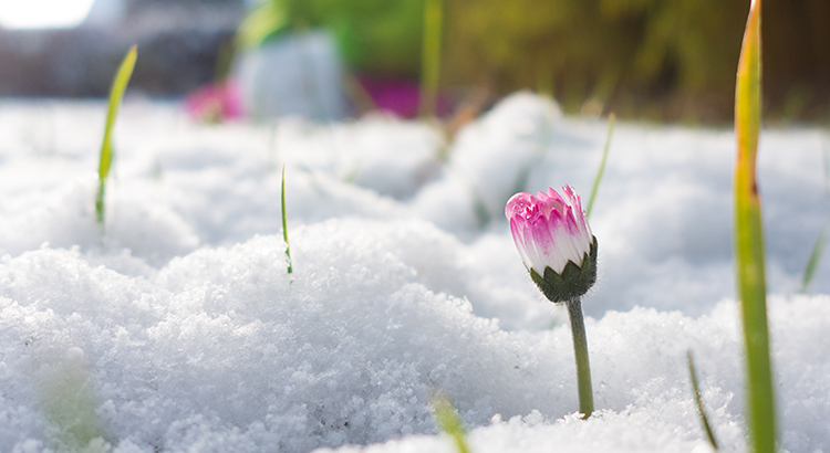 The New Spring Real Estate Market is Here. Are You Ready? header image.