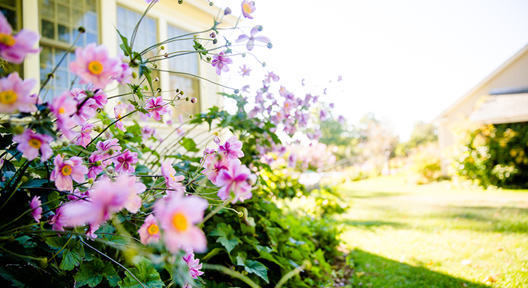 Will the Housing Market Bloom This Spring? header image.