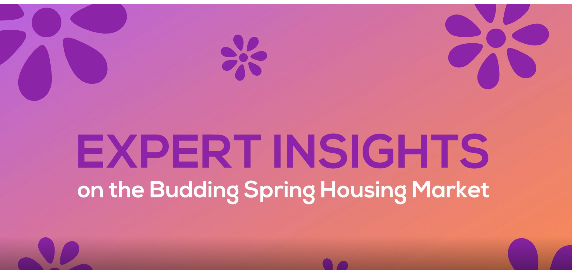 {VIDEO} Expert Insights on the Budding Spring Housing Market header image.
