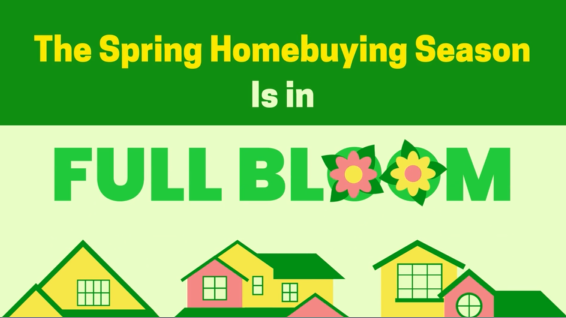 {VIDEO} The Spring Homebuying Season Is in Full Bloom header image.