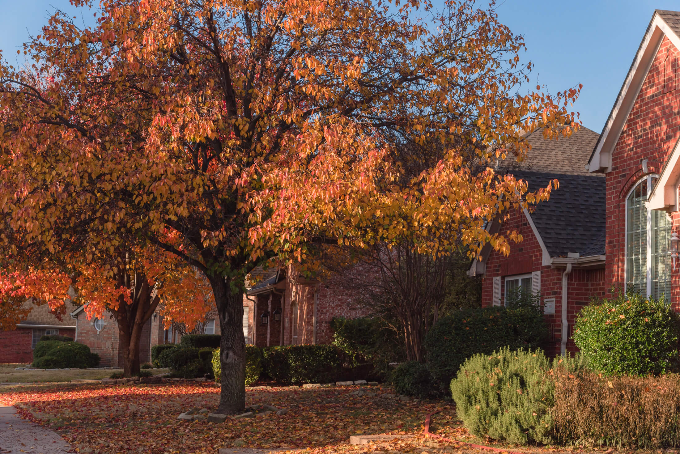 neighborhood-with-brick-homes