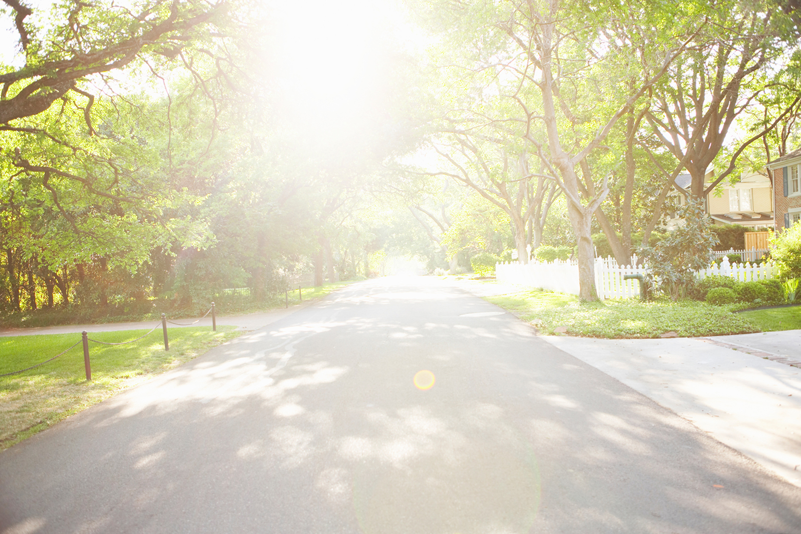 sunlit-tree-lined-street-with-white-picket-fence