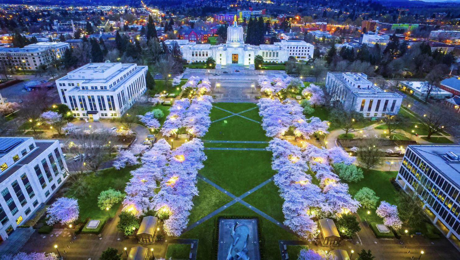 Exploring Salem Oregon: Yozakura - Nighttime Viewing of the Cherry Blossoms at the Capitol header image.