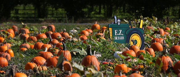 Exploring Salem Oregon: E.Z. Orchards Harvest Festival header image.