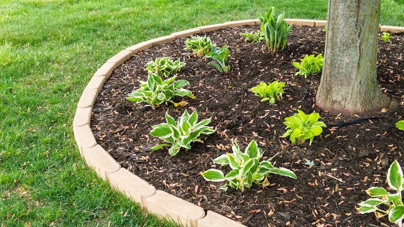 5 Simple Ways To Renovate Your Backyard on a Budget header image.