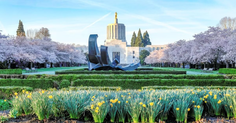 Exploring Salem Oregon: Cherry Blossom Day at the Capitol header image.