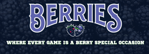 Exploring Salem Oregon: Marion Berries Baseball - VS Portland Gherkins header image.