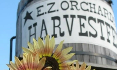 Exploring Salem Oregon: E.Z. Orchards Harvestfest header image.