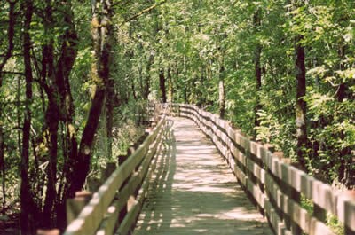 Exploring Salem Oregon: Ankeny National Wildlife Refuge header image.