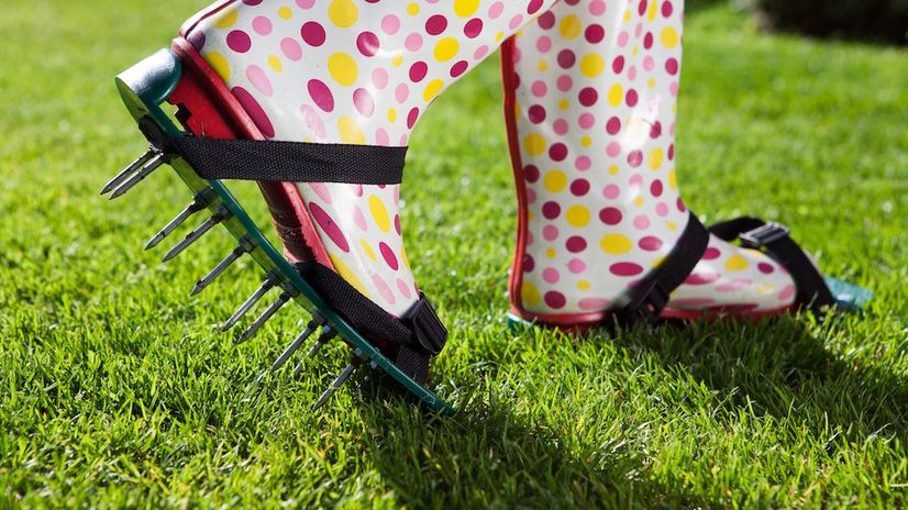 The 10 Best Lawn Maintenance Projects Based On How Much Time You Have header image.