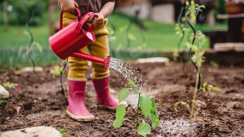 Yard Maintenance Tasks for Children of All Ages, From Youngsters to Young Adults header image.