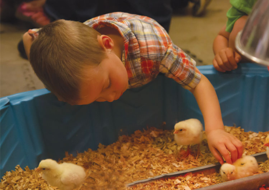 Exploring Salem Oregon: Oregon Ag Fest header image.