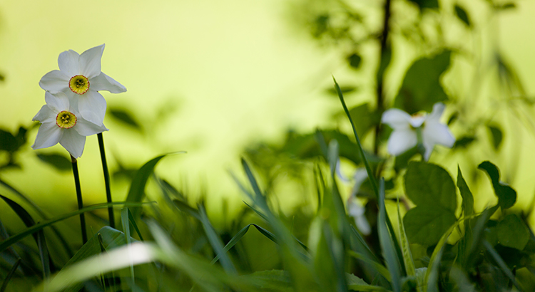 How Interest Rates Can Impact Your Monthly Housing Payments header image.