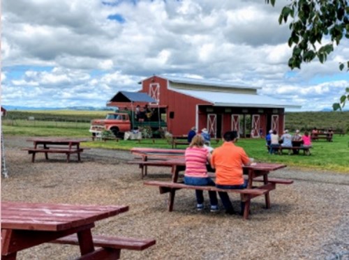 Exploring Salem Oregon: Berries, Brews and BBQs Festival header image.