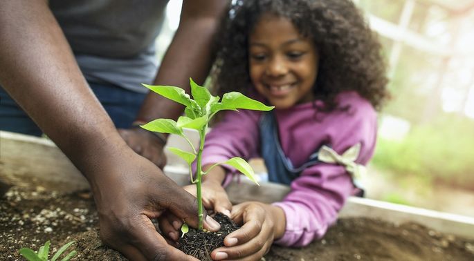 10 Gardening Hacks That Save Money, Time, Messes, and More header image.
