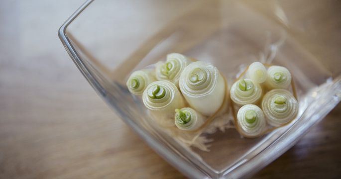 20 Cool Ways To Upcycle Food Scraps You Typically Toss in the Trash header image.