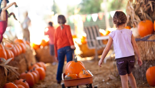 Exploring Salem Oregon: Pumpkin Patch, Pig Races, Mazes & More! header image.