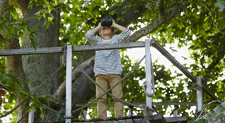 What Are Experts Saying About the Rest of 2020? header image.