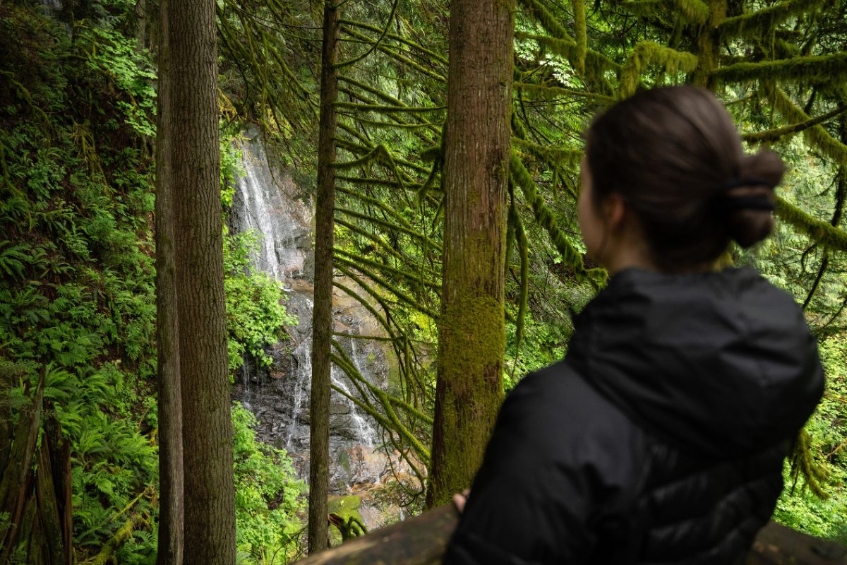 Hiking Lookout Mountain in the Fall Gives Your Great Views of Waterfalls and Creeks