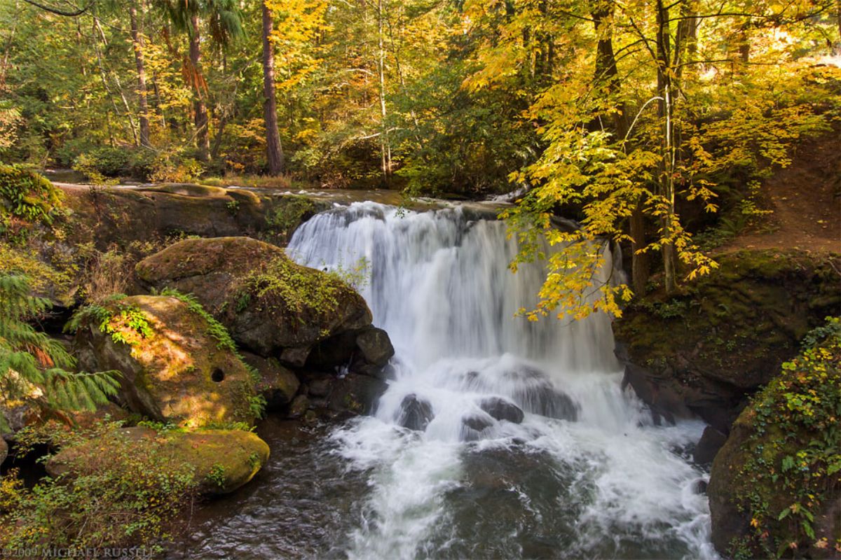 Whatcom Falls in Bellingham's Rainy Season