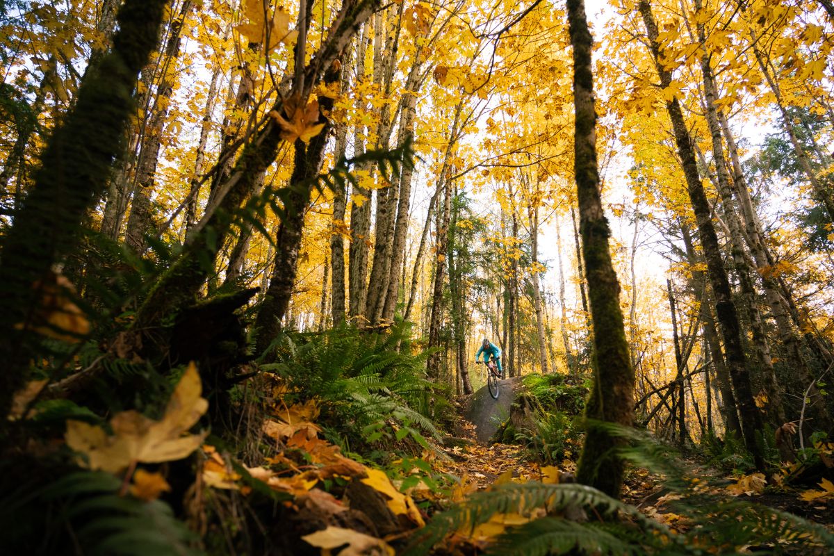 Enjoy Perfect Dirt and Trail Conditions for Hiking and Biking in the Fall