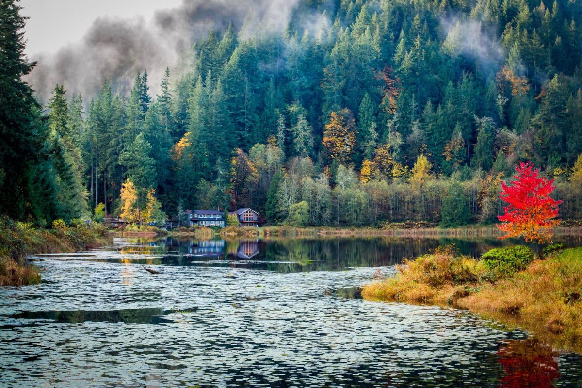Fall Is A Colorful Time To Explore Around Sudden Valley and the Pacific Northwest