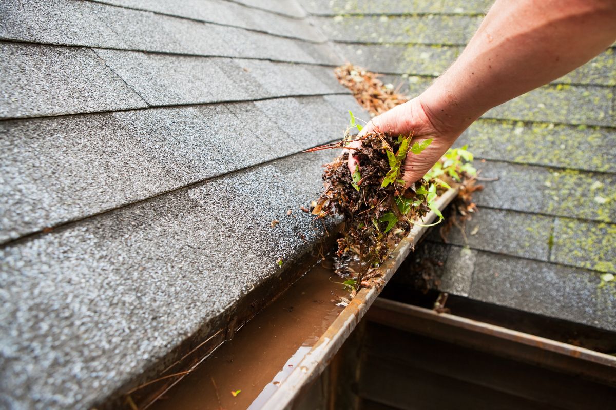 Clean your gutters, drains, and down spouts of debris before the rainy season.