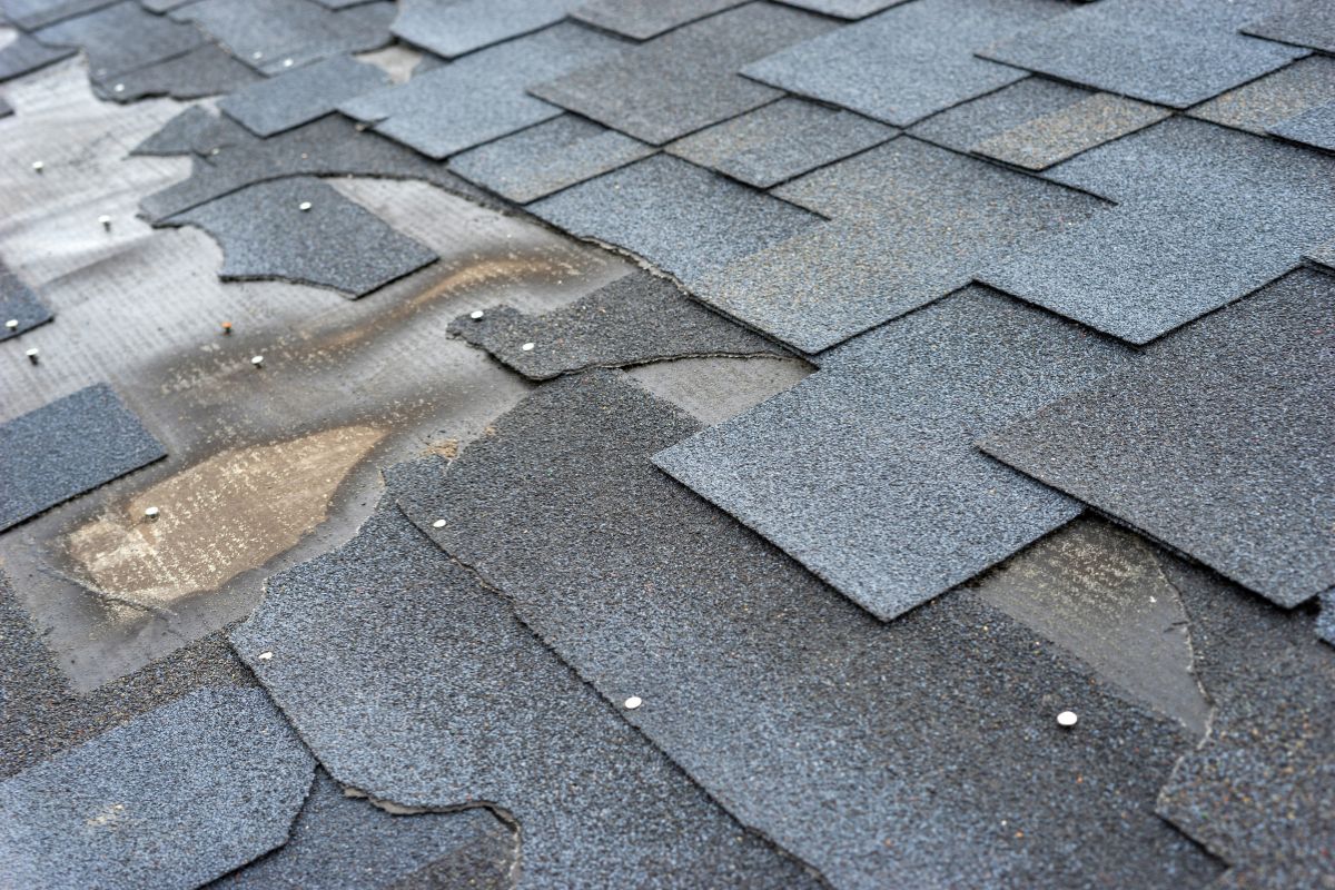 Check your roof for loose shingles and soft spots and your chimneys for loose connections.