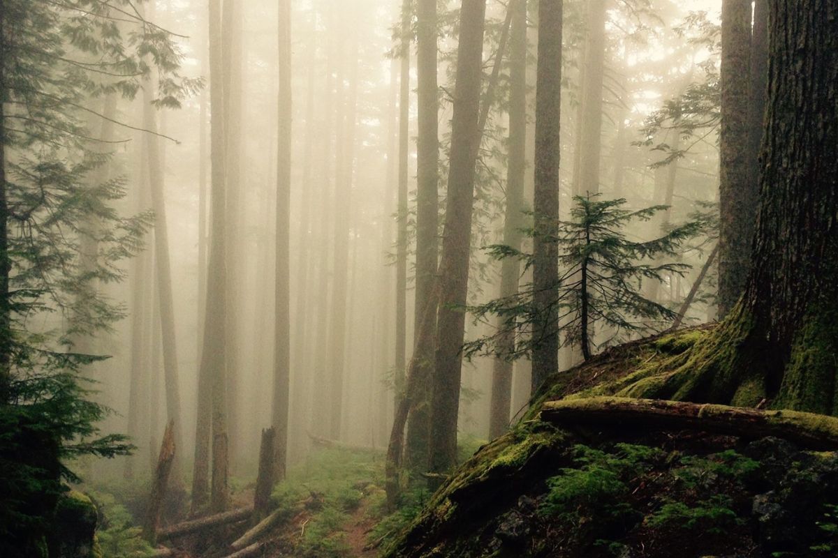 Prepare Your Home For Fall In The Pacific Northwest