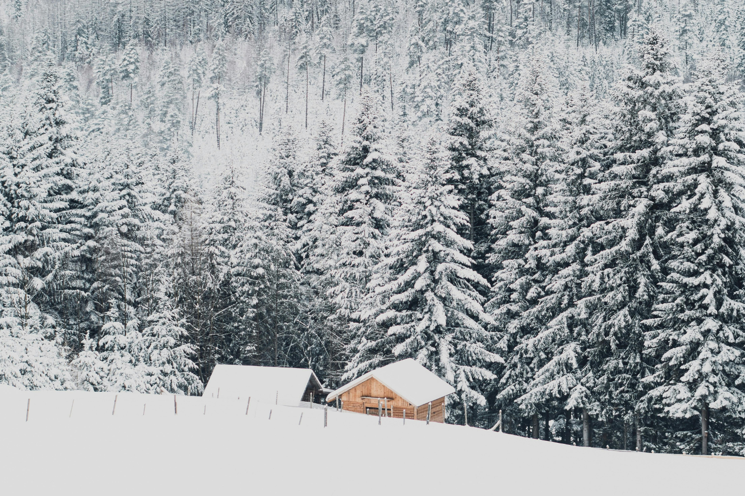 A beautiful snow-covered home on a mountain, surrounded by snowy evergreen trees.