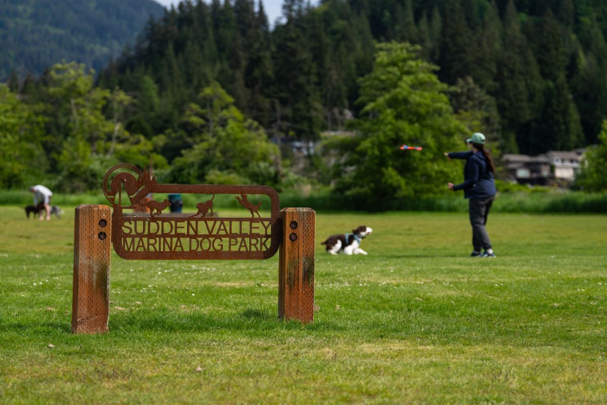 The Sudden Valley Marina Dog Park